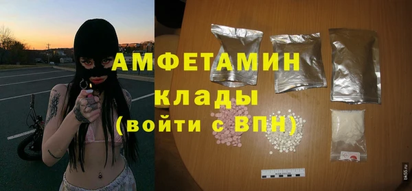 молекула духа Богданович
