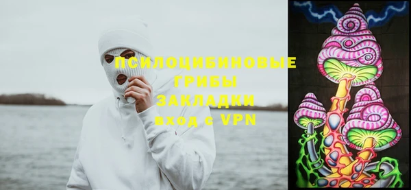 молекула духа Богданович