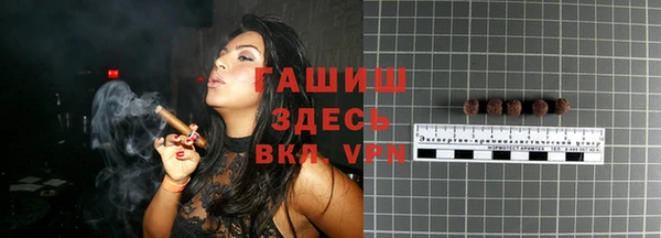 молекула духа Богданович