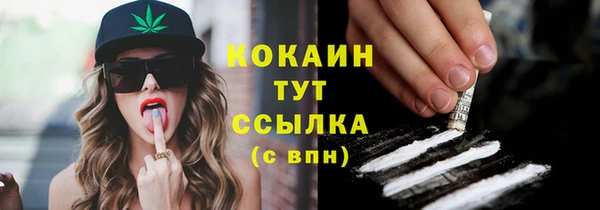 молекула духа Богданович