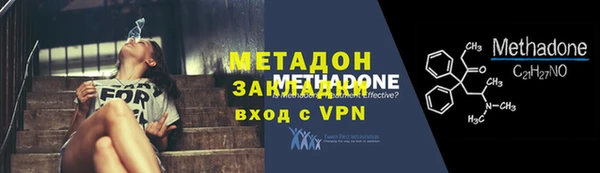 молекула духа Богданович