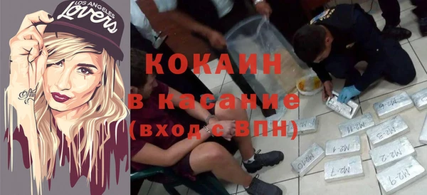 молекула духа Богданович
