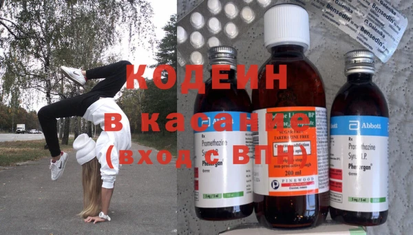 молекула духа Богданович