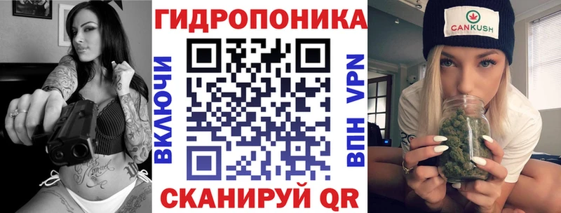 Бошки Шишки марихуана  Нерюнгри 